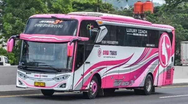 DRW TRANS Bus