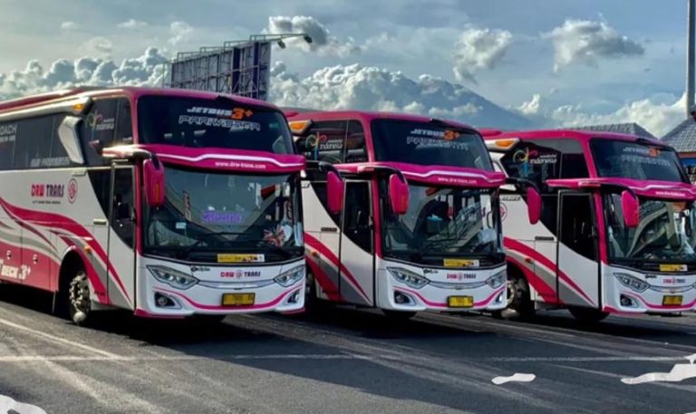 Mengapa Bus Pariwisata DRW Trans Disebut Bus Glowing? Ternyata Unik Banget Alasannya!