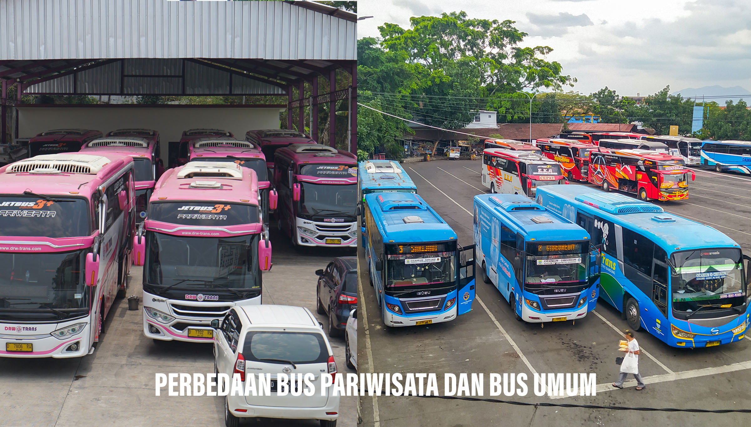 Bus Pariwisata vs Bus Umum: Lebih Nyaman Mana untuk Perjalanan Liburan?