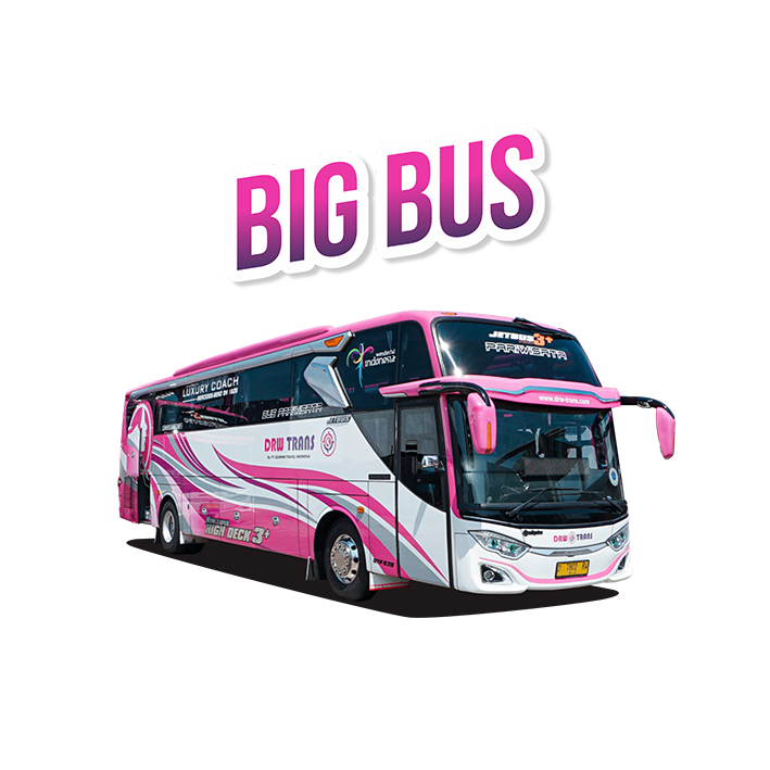 Big bus drw trans