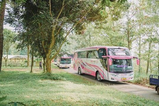 Mengenal Apa Itu Basuri Bus atau Telolet yang Jadi Incaran Busmania