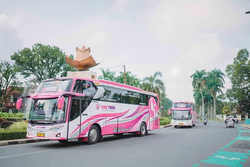 Kenapa DRW Trans Tidak Ada Basuri atau Telolet, Ternyata Begini Alasannya