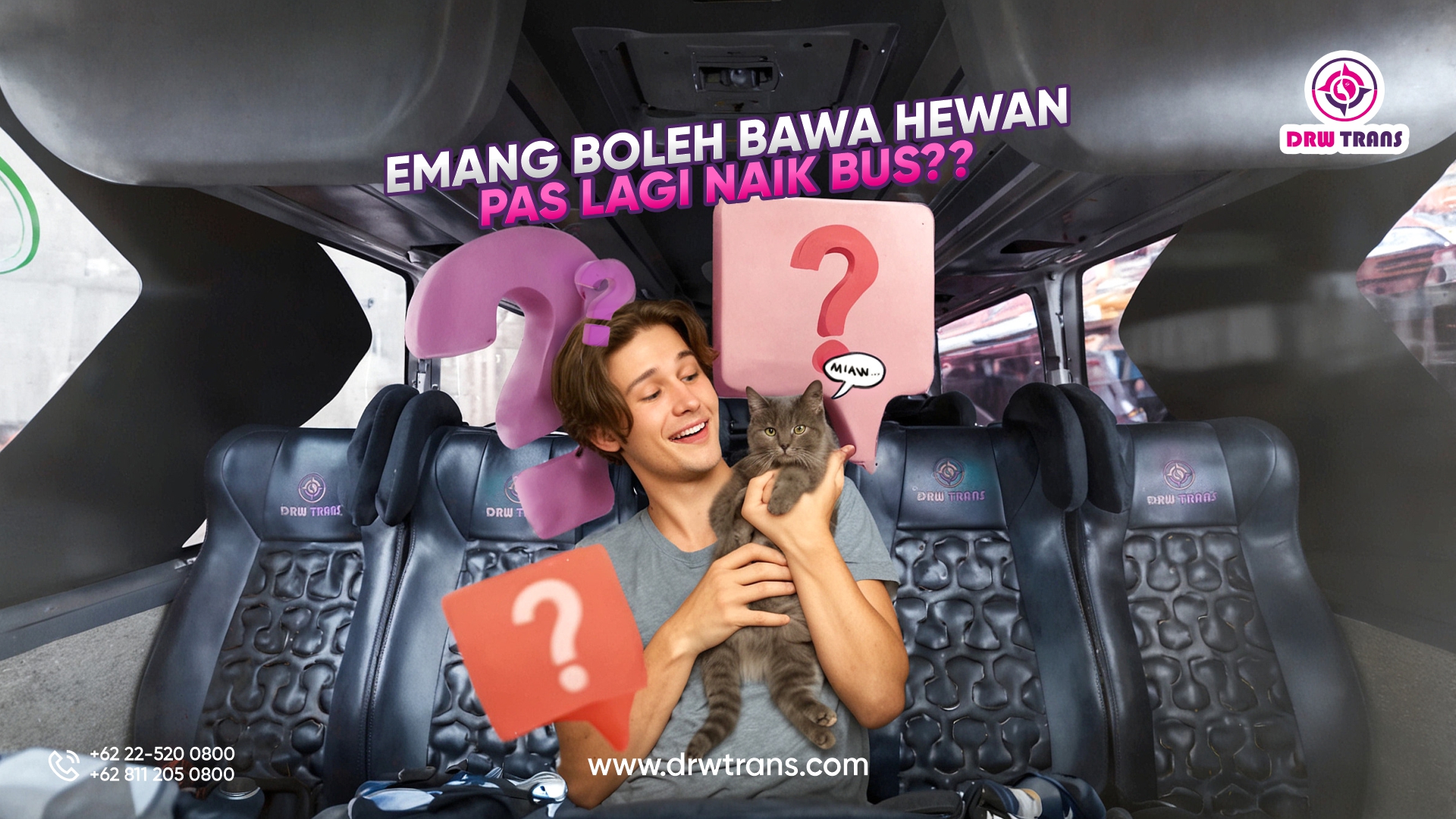 Bolehkah Membawa Hewan Peliharaan Saat Naik Bus Pariwisata DRW Trans?