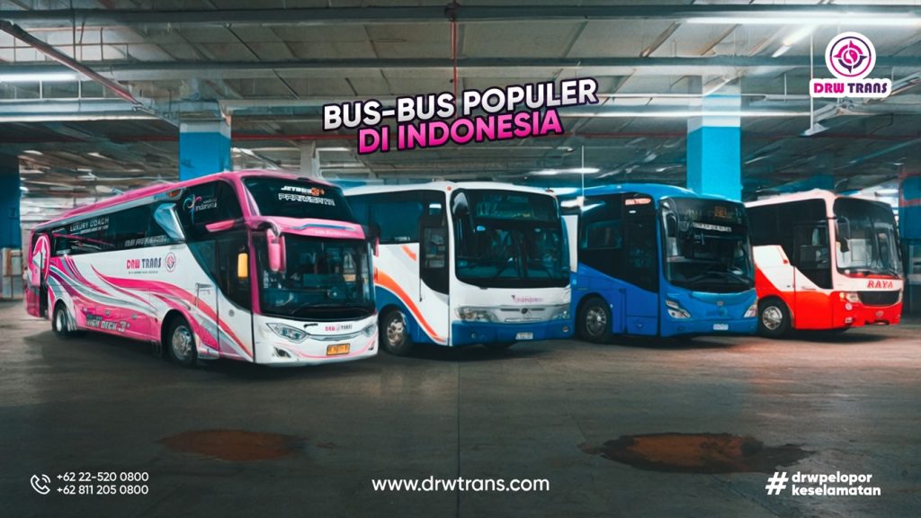 Kenali Jenis Bus Terpopuler yang Banyak Ditemukan di Indonesia